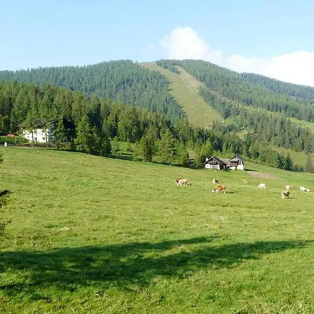 Gasthuis Gasthof Alpl 3*