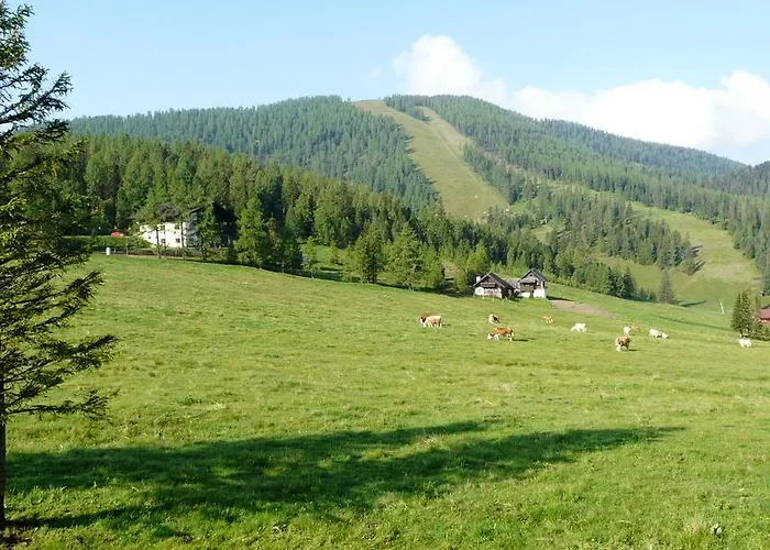 Pensjonat Gasthof Alpl 3*