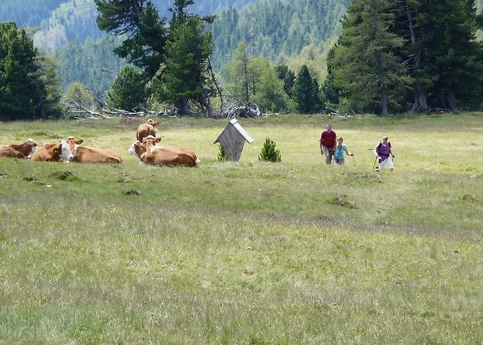 Gasthof Alpl Pensjonat